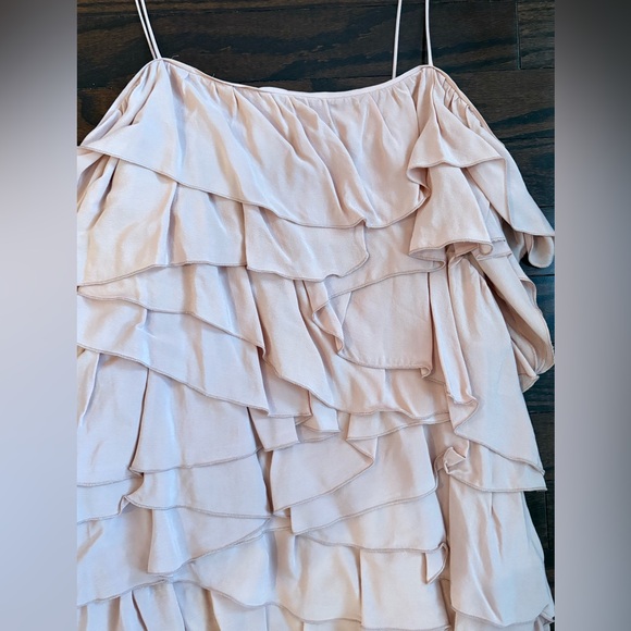 Zara Ruffled Dress in Light Pink - Picture 3 of 9